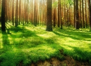 开云体育-米切尔奥运前哨战封神！浙江队踏平猛龙，关键接管诠释巨星本色